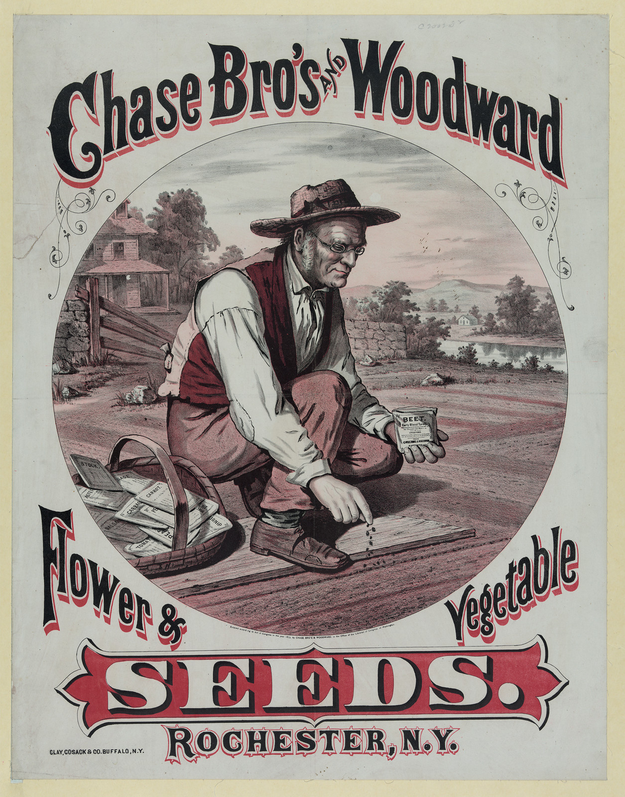 Chase Bro's and Woodward Flower and Vegetable Seeds poster — vintage poster