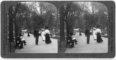 Under the Elms, Boston Common, Boston, U.S.A.