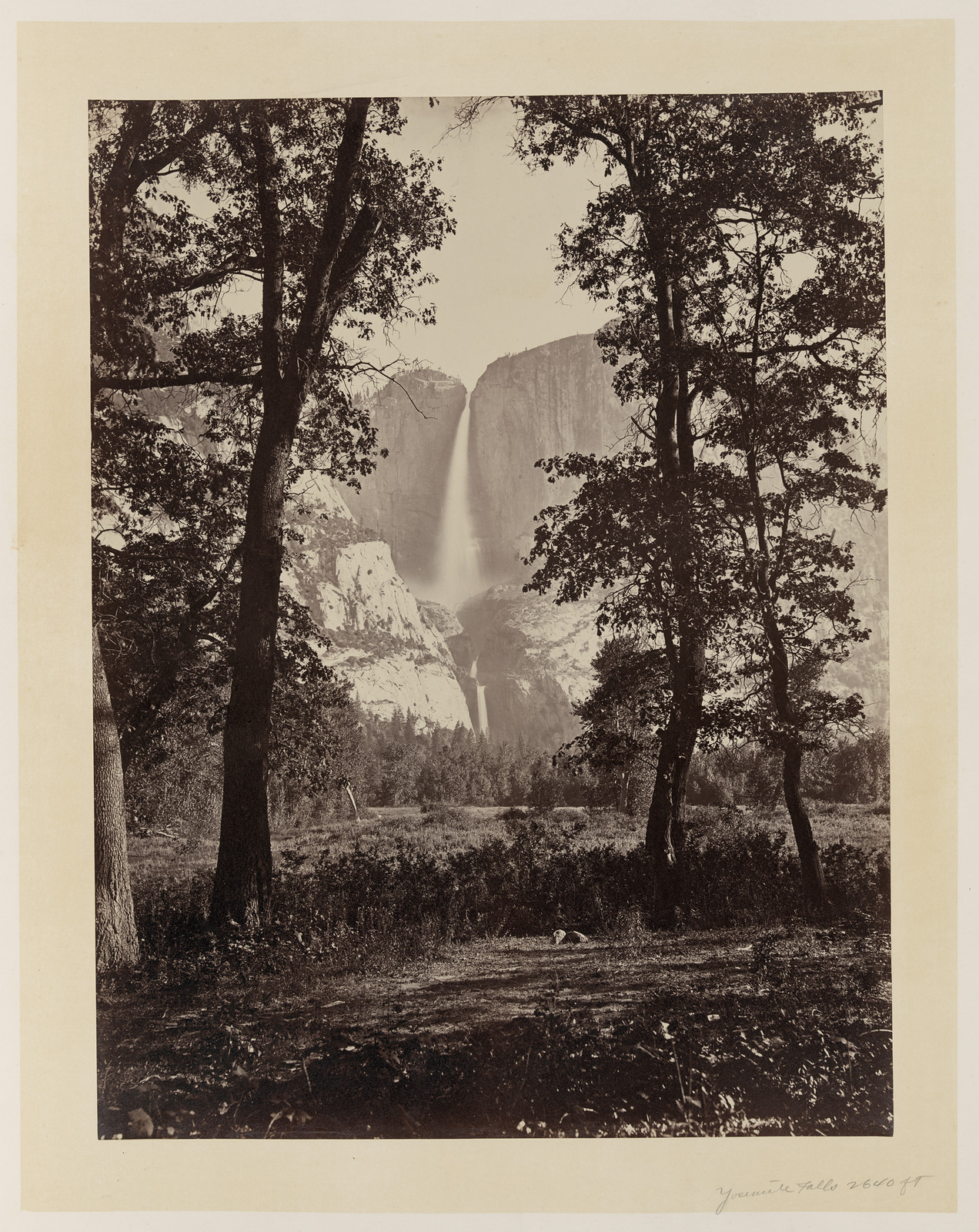 [Yosemite Falls], [ca. 1865] — historic photograph