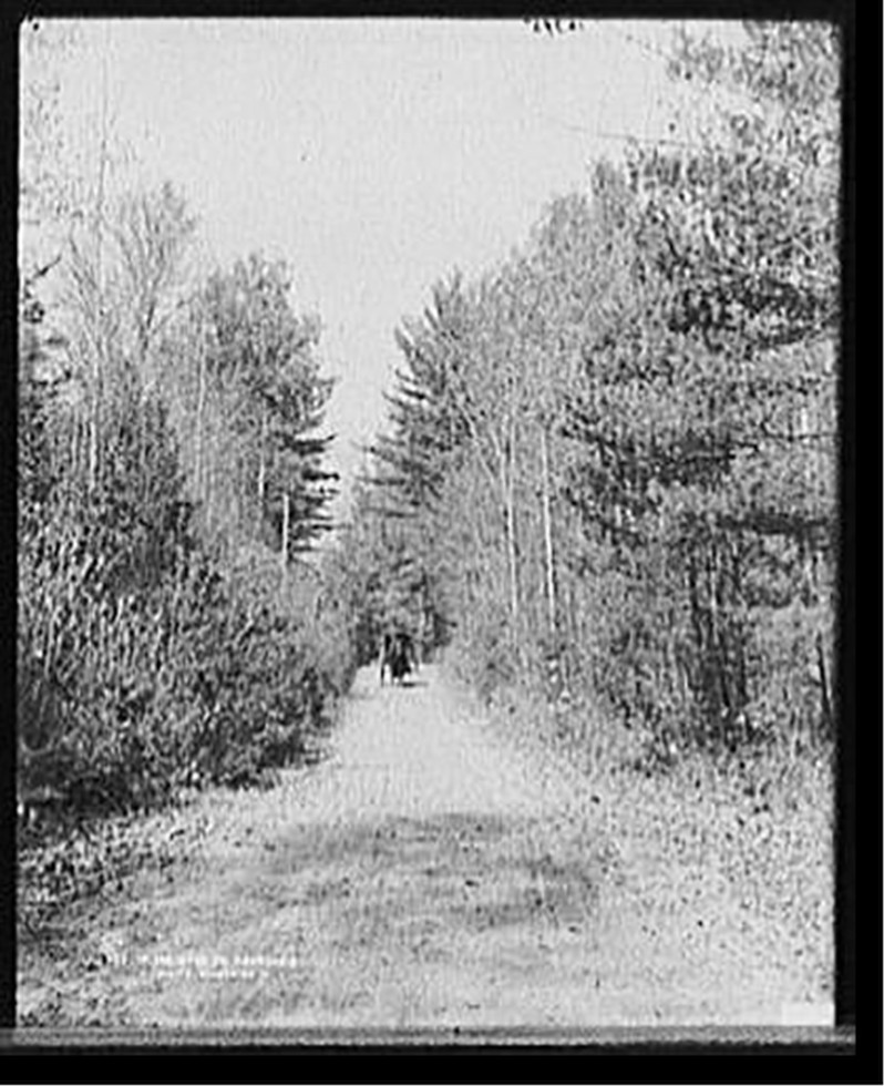 On the road to Franconia, White Mountains, [between 1890 and 1901] — historic photograph