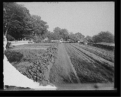 [The Kitchen garden, Mt. Vernon, Va.]