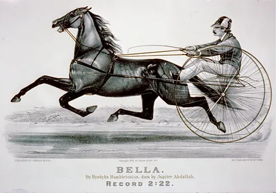Bella: By Rysdyk's Hambletonian, dam by Jupiter Abdallah. Record 2:22