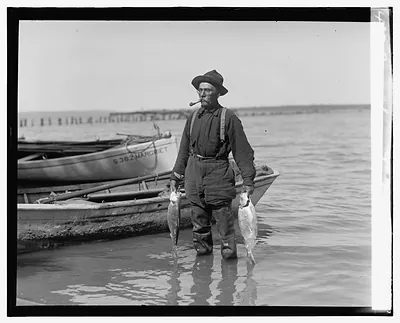 Shad fishing on the Potomac
