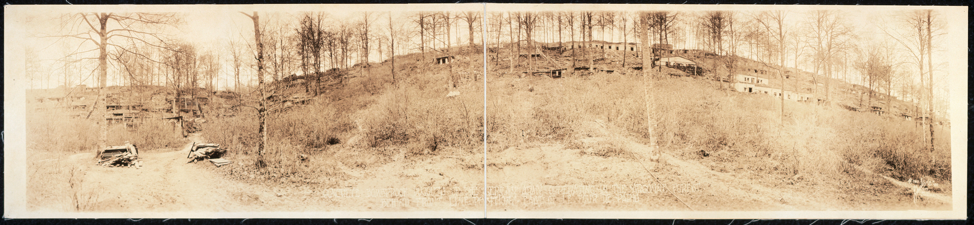 Argonne Forest, France, 1918, 1918 — historic image