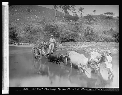 Porto [i.e., Puerto] Rico, West Indies, 328: Ox cart passing Manati River