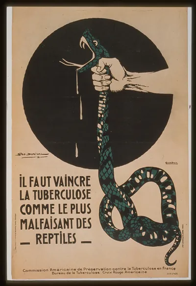 Il faut vaincre la tuberculose comme le plus malfaisant des reptiles