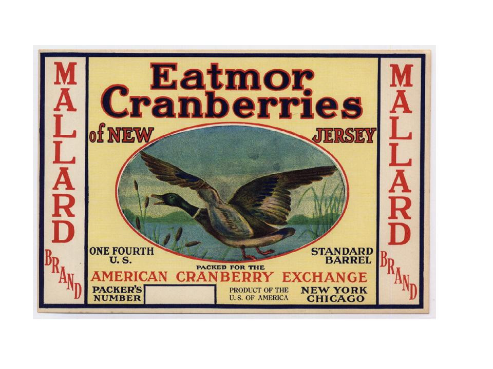 Eatmor Cranberries crate label with mallard duck — historic image