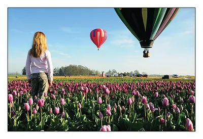 Girl watching hot air balloons over a tulip field