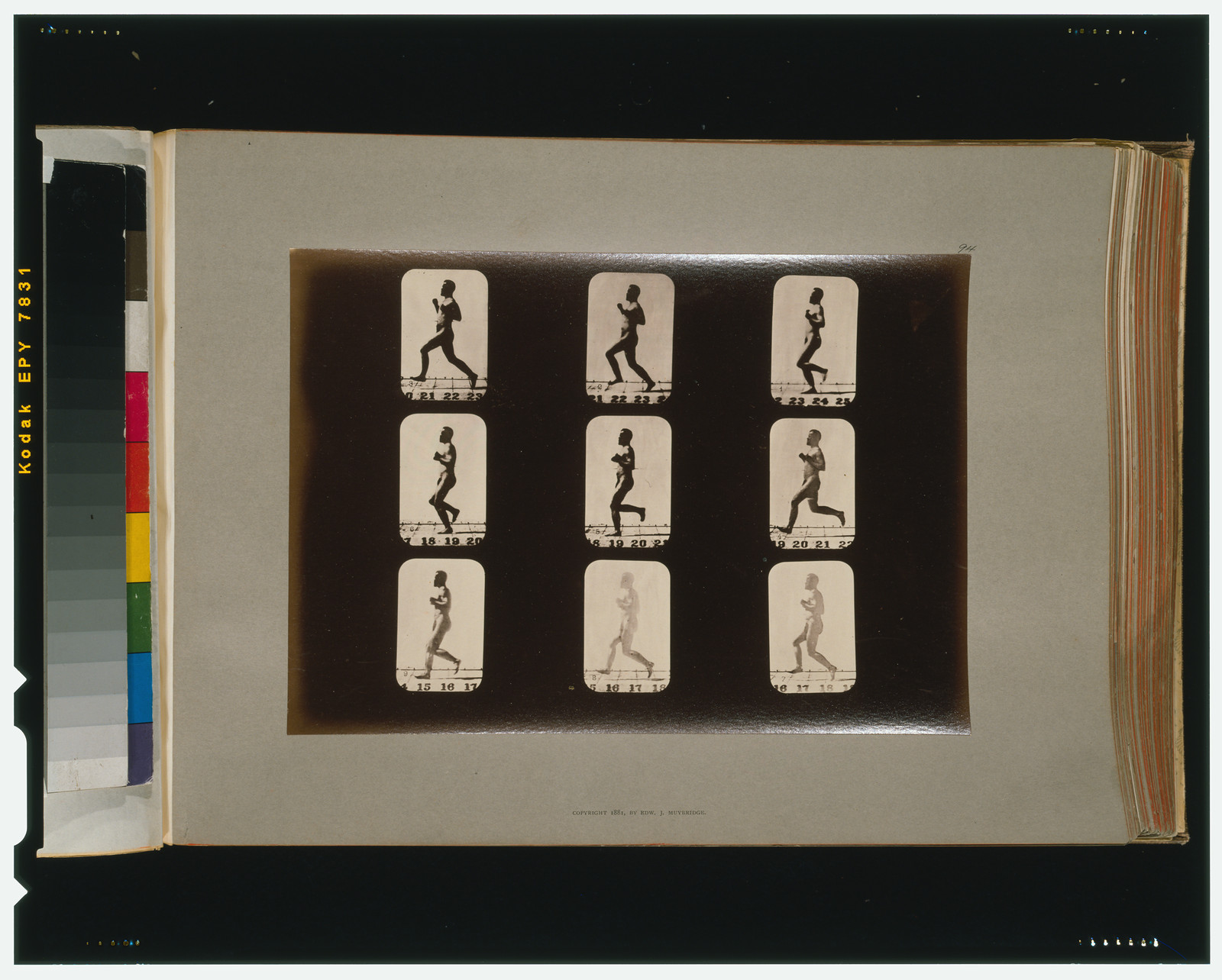 Athletes. Running, [San Francisco] : Muybridge, c1881. — historic photograph