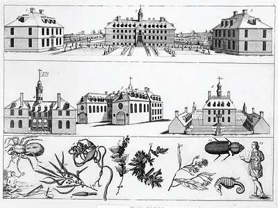 [Williamsburg, Va., ca 1740]
