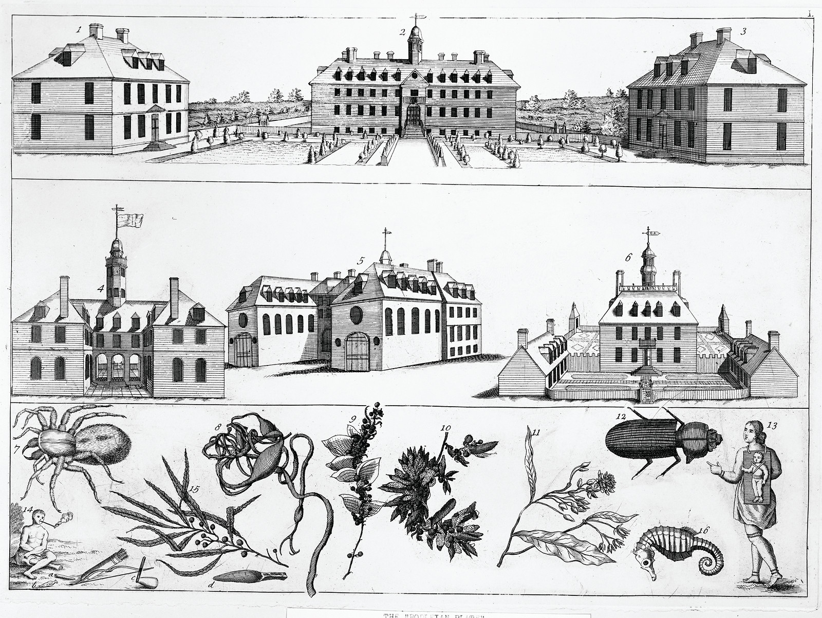 [Williamsburg, Va., ca 1740], [no date recorded on shelflist card] — historic print