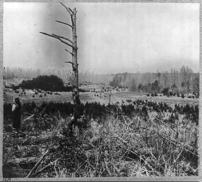 Confederate Entrenchments near junction of old and new Court House Roads, [Spotsylvania, Virginia]