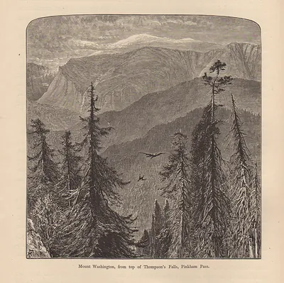 Mount Washington, from top of Thompson's Falls, Pinkham Pass