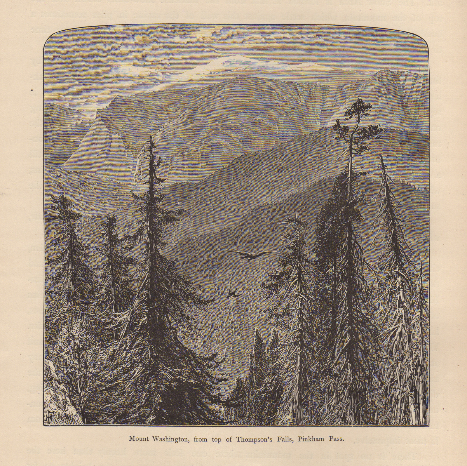 Mount Washington, from top of Thompson's Falls, Pinkham Pass — historic image