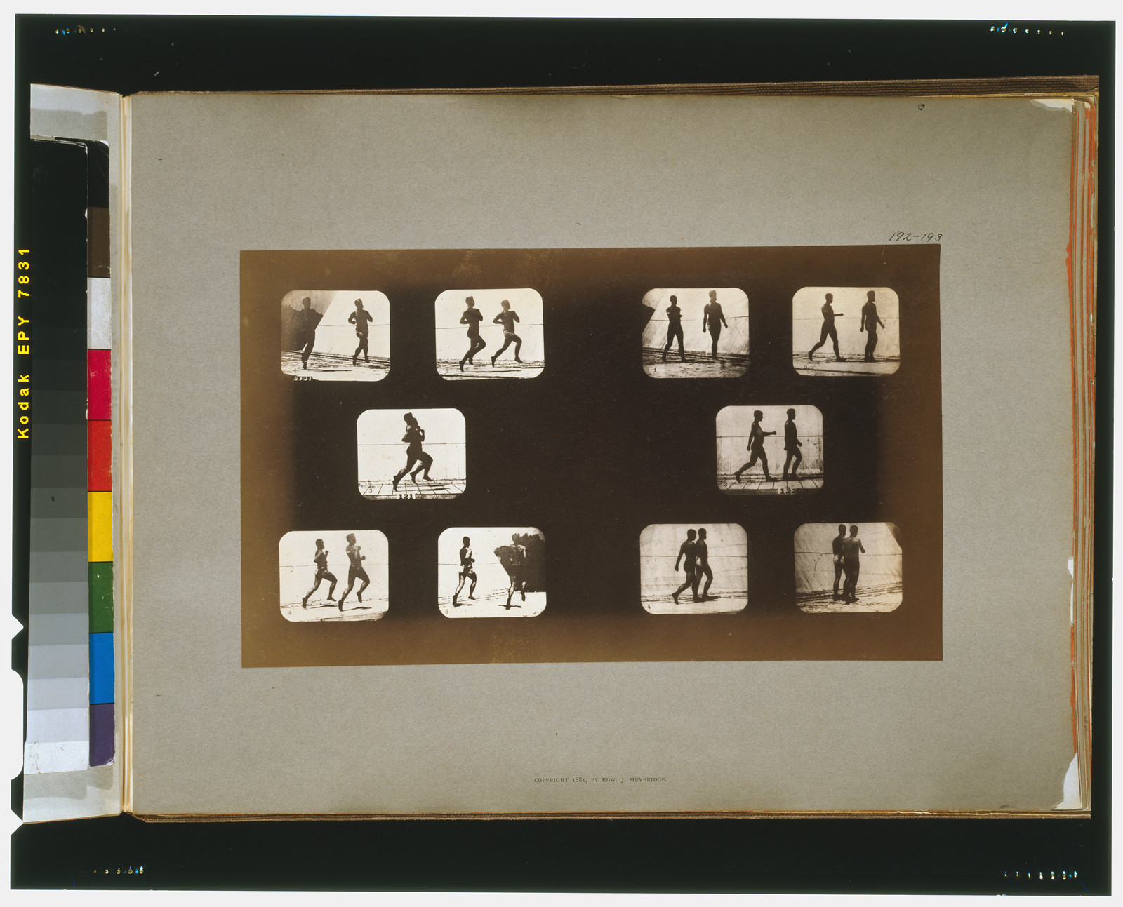 Athletes. Walking, [San Francisco] : Muybridge, c1881. — historic photograph