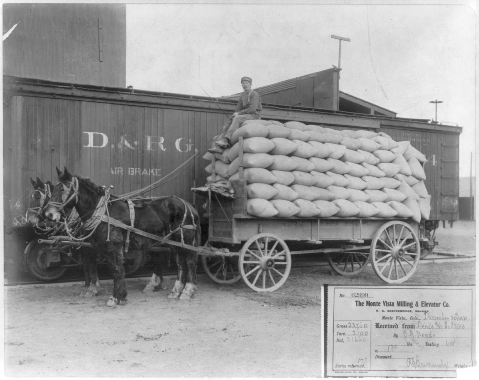 [Horse-drawn wagon loaded with 175 sacks of wheat beside freight car] — historic photograph