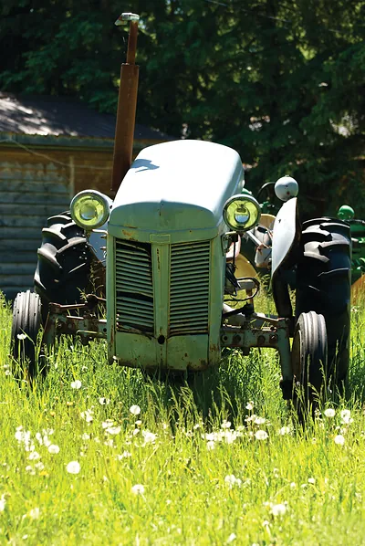 Vintage green tractor in tall grass with dandelions