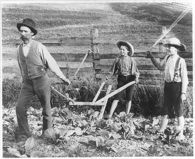 [Man pulling plow; one boy behind plow and another boy waving stick]
