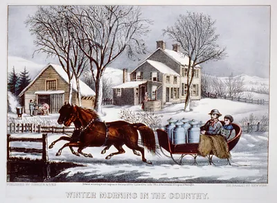 Winter morning in the country