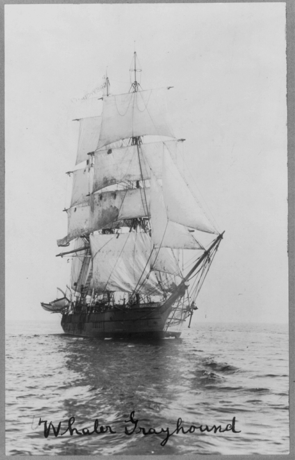 Whaler GRAYHOUND [with bow in foregrd.], c1917 Sept. 18. — historic photograph