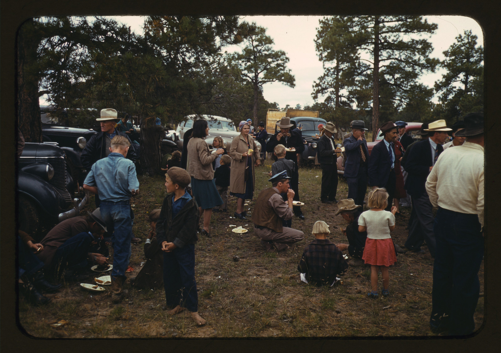 Crowd eating outdoors among parked cars and pine trees — historic image