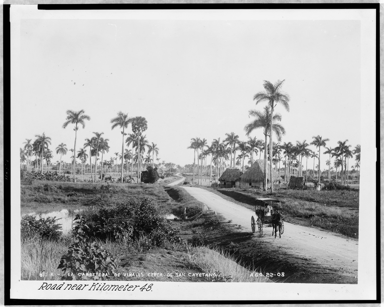 La carretera de Viñales cerca de San Cayetano--Road near kilometer 48, [1908] — historic photograph