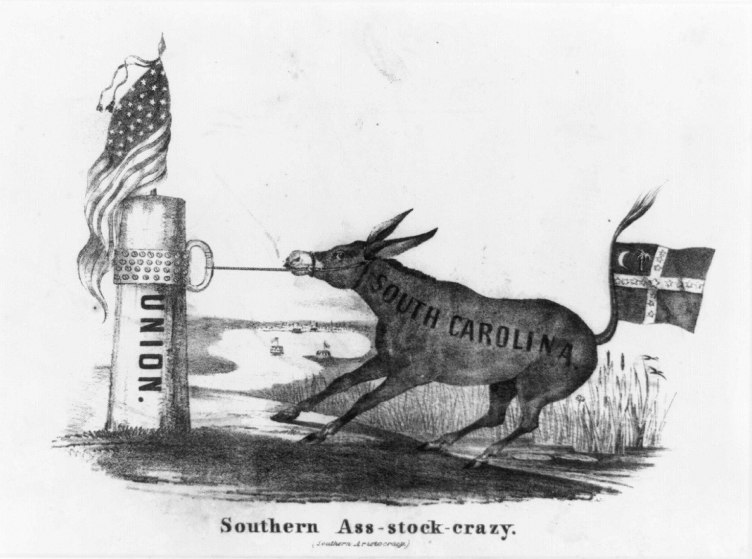 Southern ass-stock-crazy (Southern aristocracy), 1861 — antique lithograph