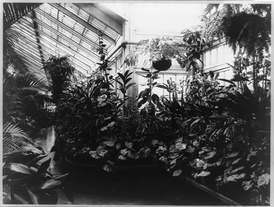 White House, Conservatory