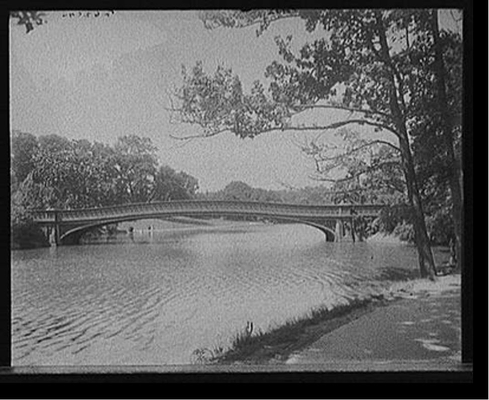 [Central Park, the lake, New York, N.Y.], [between 1900 and 1915] — historic photograph