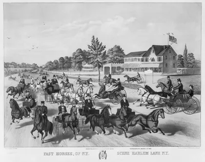 Fast horses, of N.Y. scene, Harlem Lane N.Y.