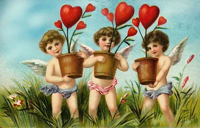 Three cherubs holding heart-shaped plants, vintage Valentine card