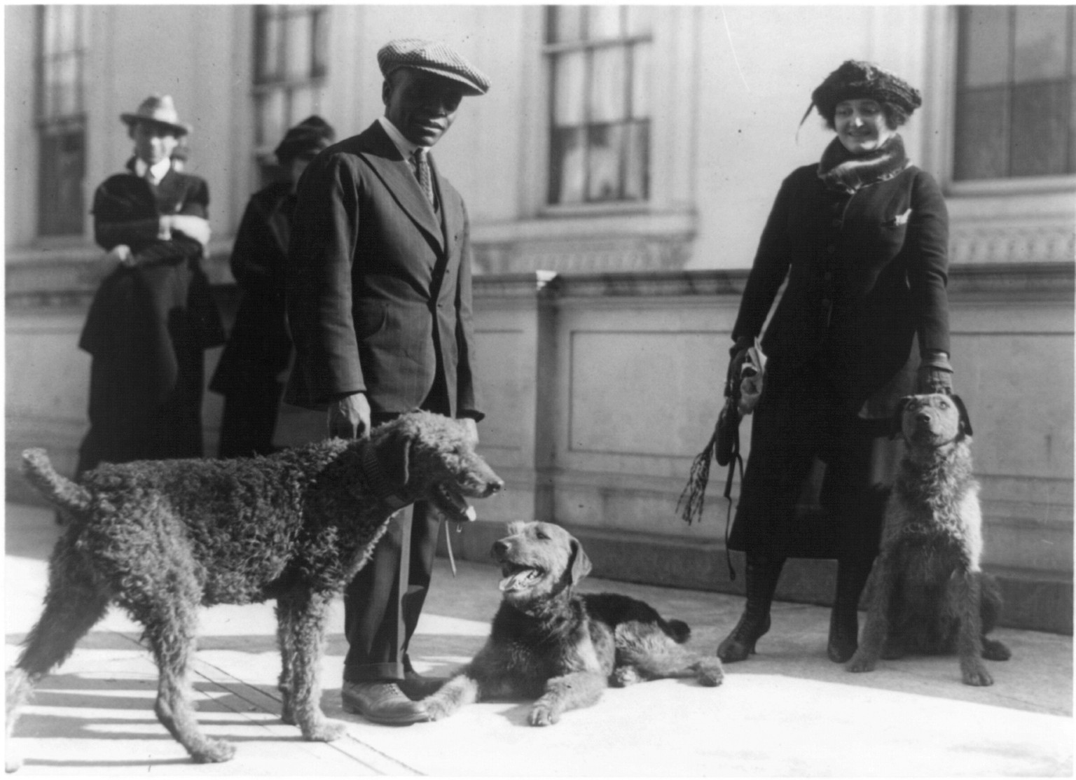 [Afro-American White House kennel keeper and woman with three airedales of Warren G. Harding], [ca. 1924] — historic photograph