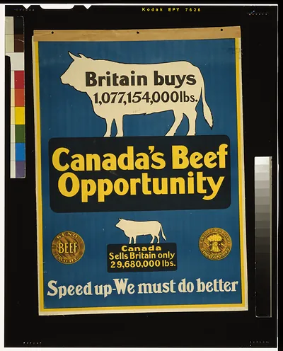 Canadas beef opportunity