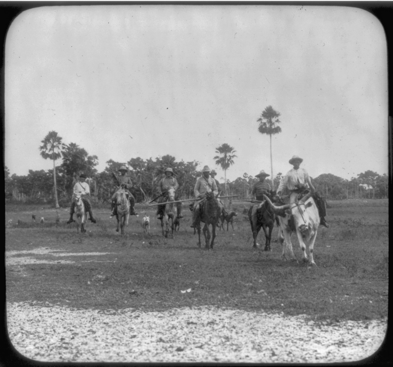 [Theodore Roosevelt, 1858-1919; lantern slide of Roosevelt's Brazil expedition, 1913, taken by his son Kermit] — historic image