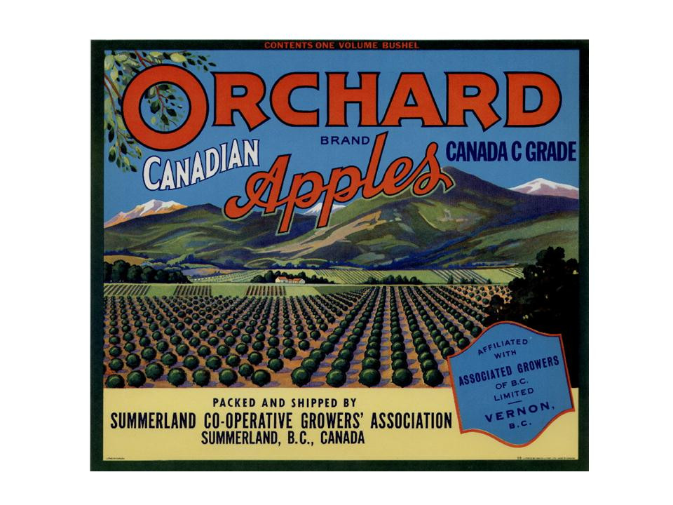 Orchard Canadian Apples crate label, Summerland, B.C. — historic image