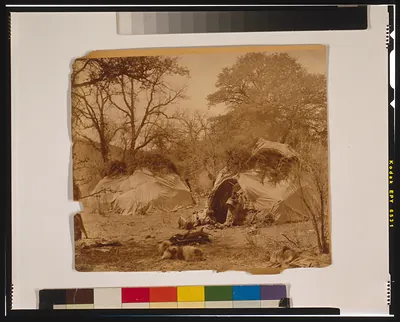 A camp among the oaks