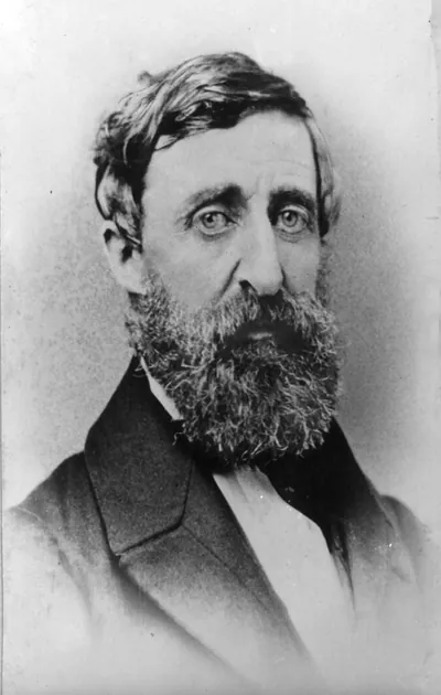 [Henry David Thoreau, head-and-shoulders portrait, facing slightly right]