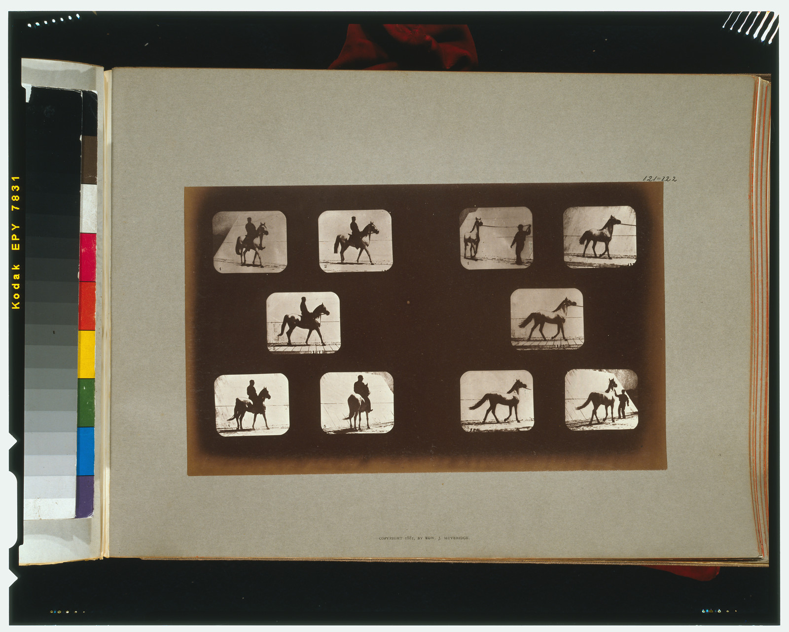 Horses. Walking, [San Francisco] : Muybridge, c1881. — historic photograph