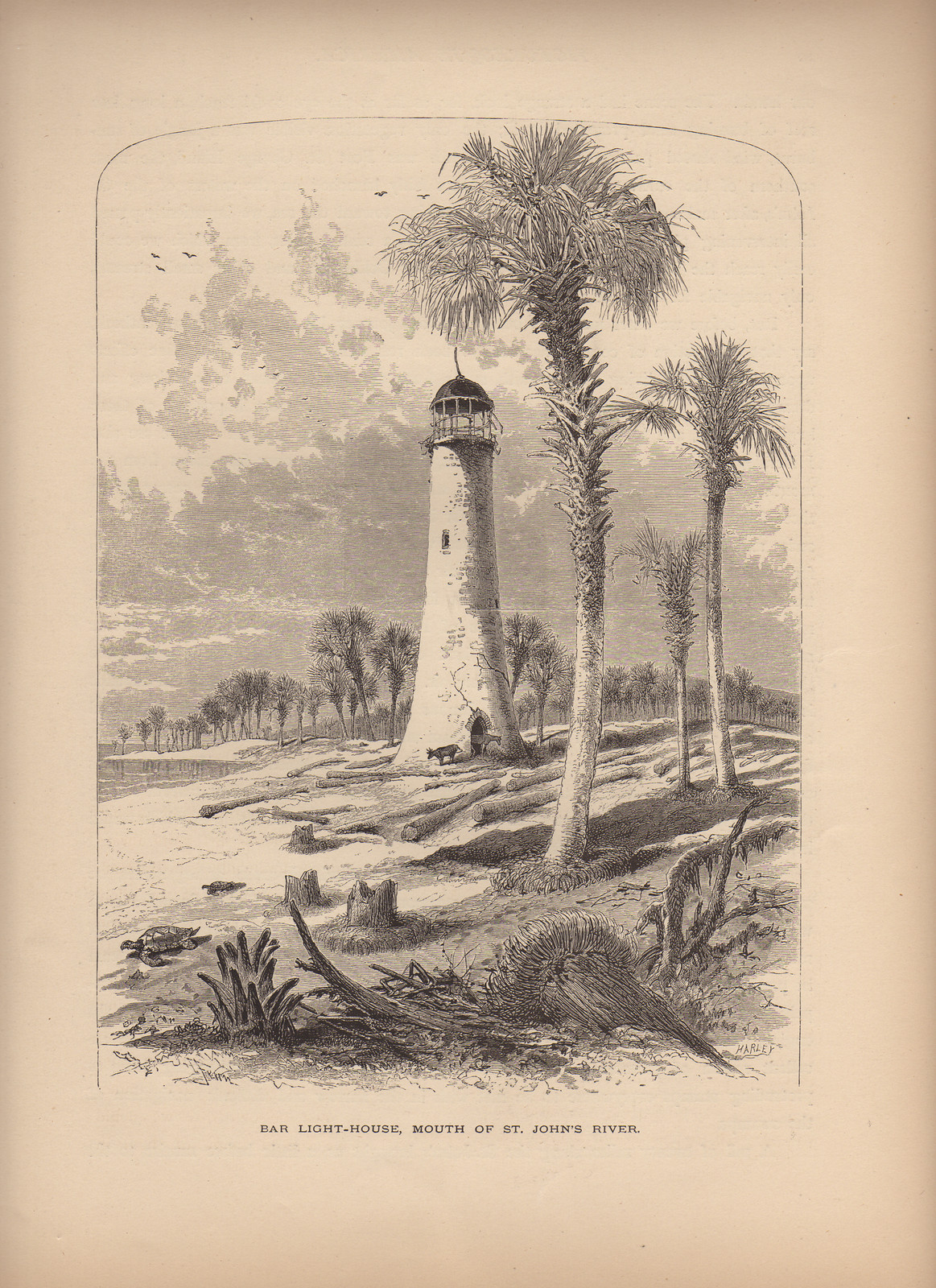 Bar Light-House, Mouth of St. John's River — historic image