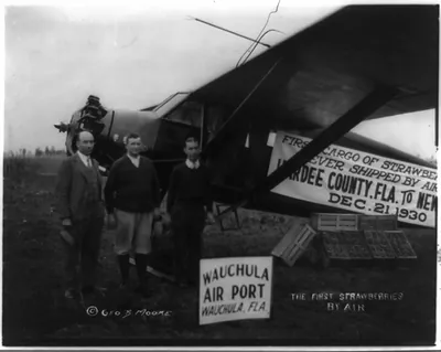 The first strawberries by air, Wauchula Air Port, Wauchula, Fla.