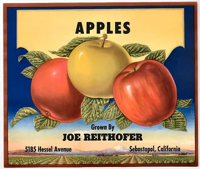 Apples fruit crate label, grown by Joe Reithofer, Sebastopol