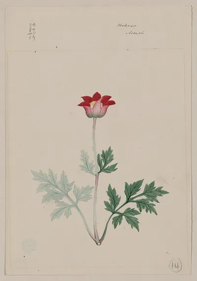 [Japanese drawing]