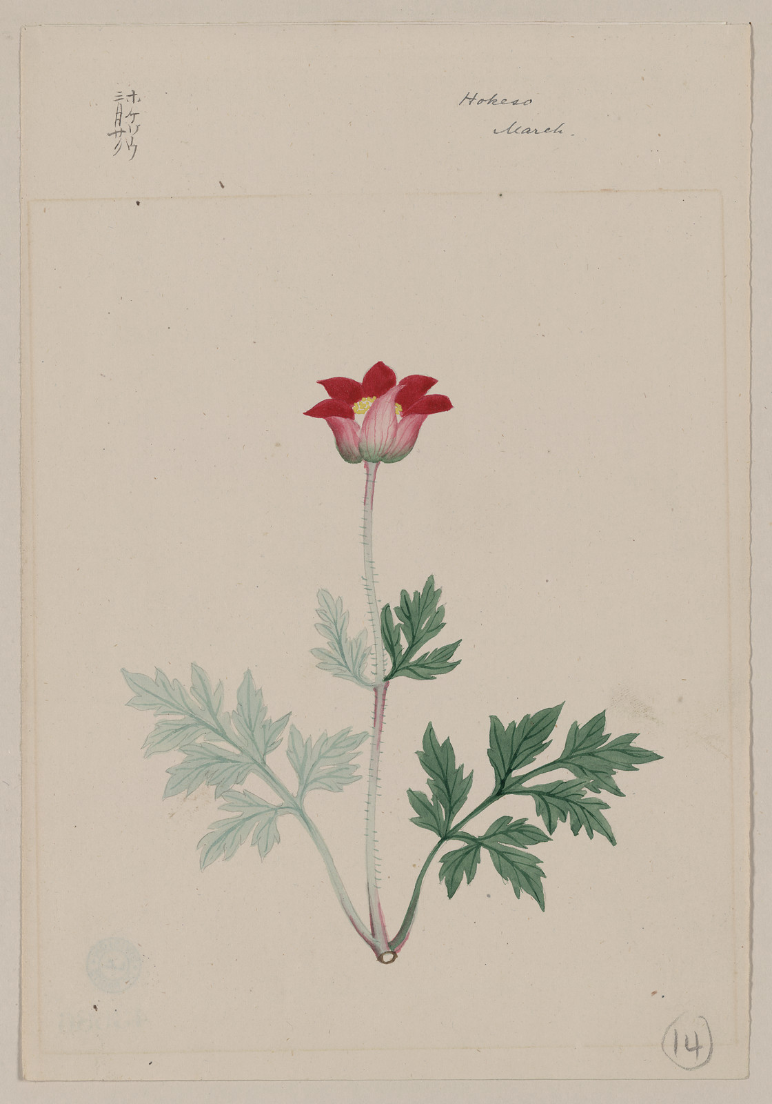 [Japanese drawing], 1750 — historic drawing