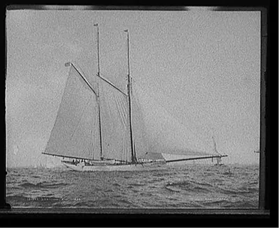 Grayling