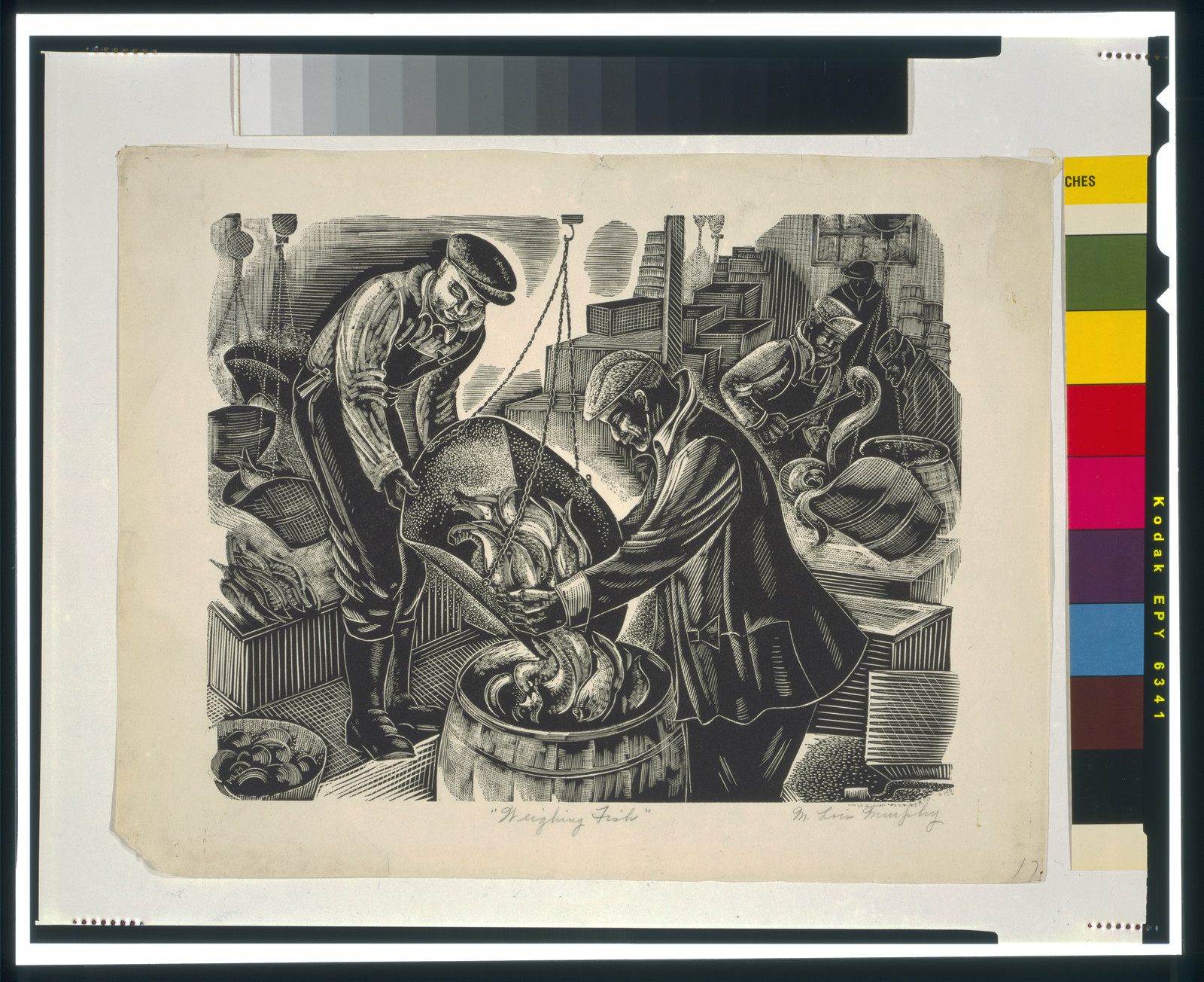 Weighing fish" / M. Lois Murphy.", [1936 or 1937] — antique engraving