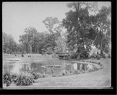 Lily pond, Elizabeth Park, Hartford, Ct.