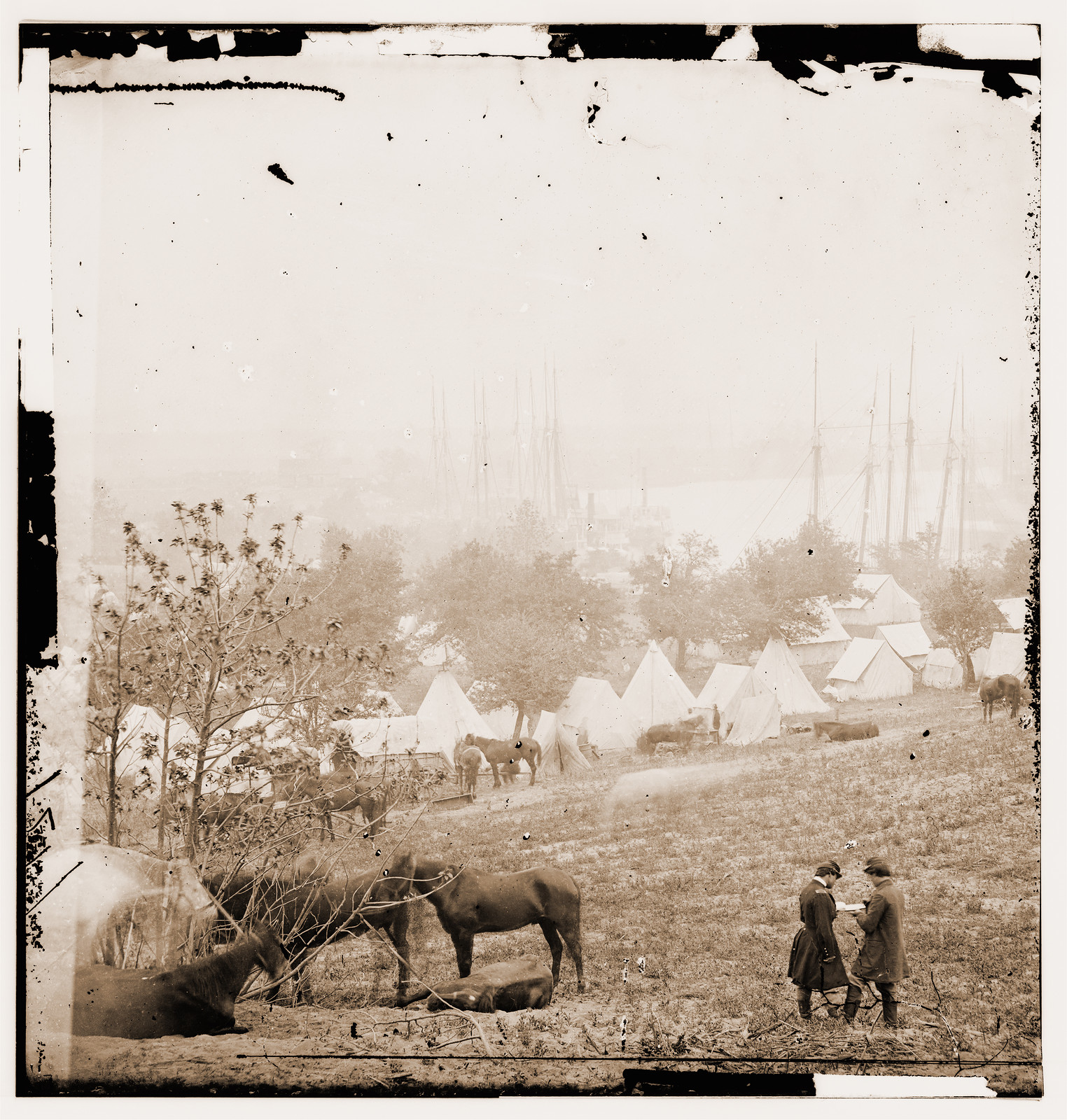 Cumberland Landing Virginia. Federal encampment on the Pamunkey, 1862 — historic photograph