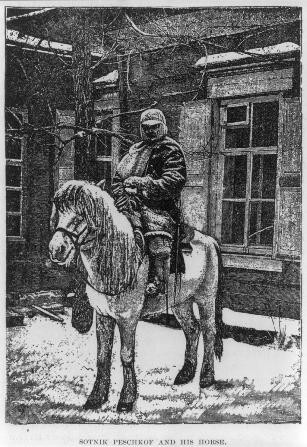 Sotnik Peschkof and his horse — antique engraving