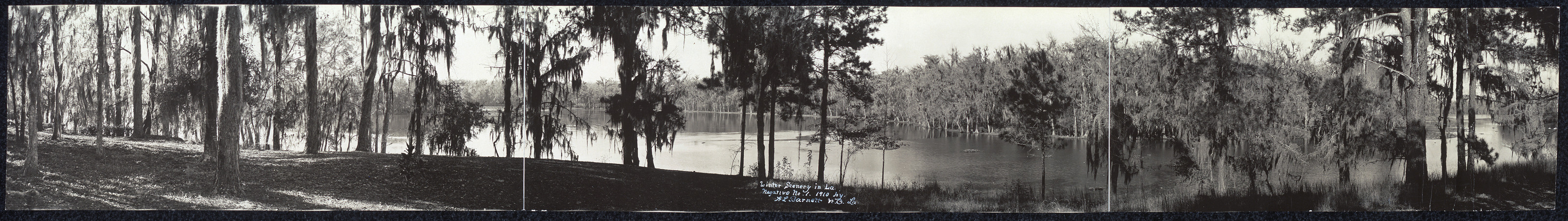 Winter A Louisiana scenery, 1910, 1910 — historic image