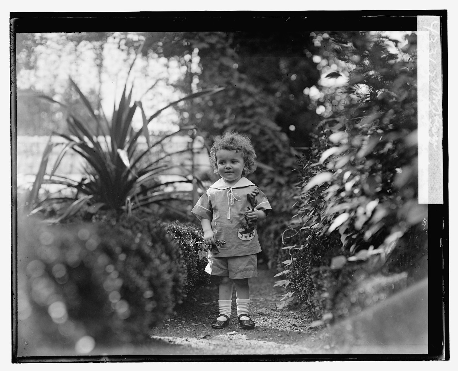 Mr. Hesse, Bot. Gardens, [1928 or 1929] — historic photograph
